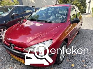 Foto van kenteken 78-DG-DL